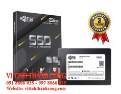 SSD FB-Link HM300 256G