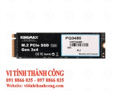 SSD Kingmax M.2 PCIe PQ3480 256G